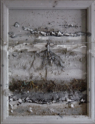 Paysages blancs 2