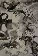 Encre torrent 1