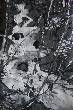 Encre torrent 2