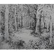 La foret