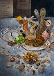 Poulet frite salade